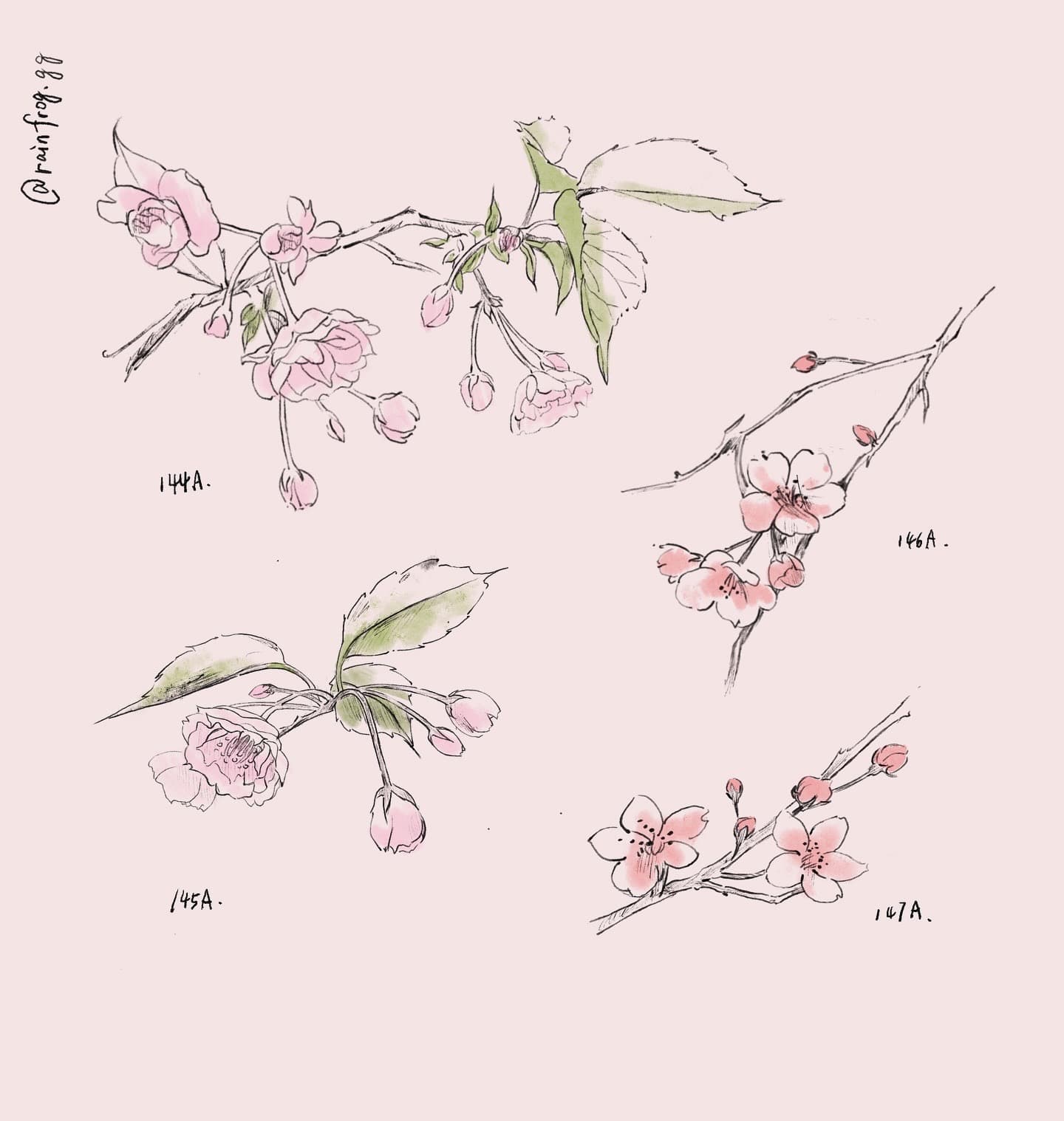 a tattoo flashsheet by @rainfrog.gg
